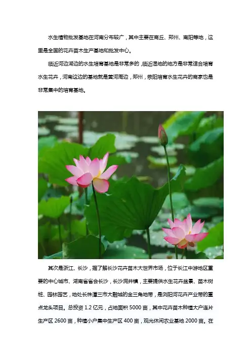 河南水生植物基地在哪儿