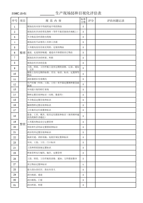 5S和目视化评估表-精益生产培训