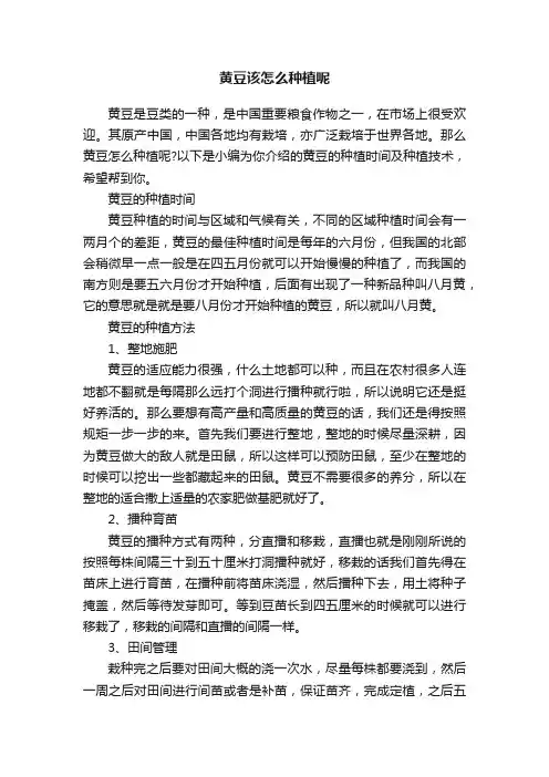 黄豆该怎么种植呢