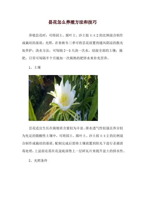 昙花怎么养殖方法和技巧
