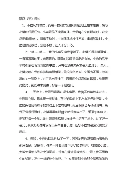 靳以《猫》摘抄