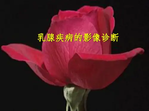 乳腺疾病的影像诊断