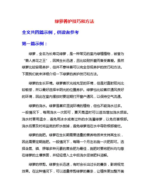绿萝养护技巧和方法