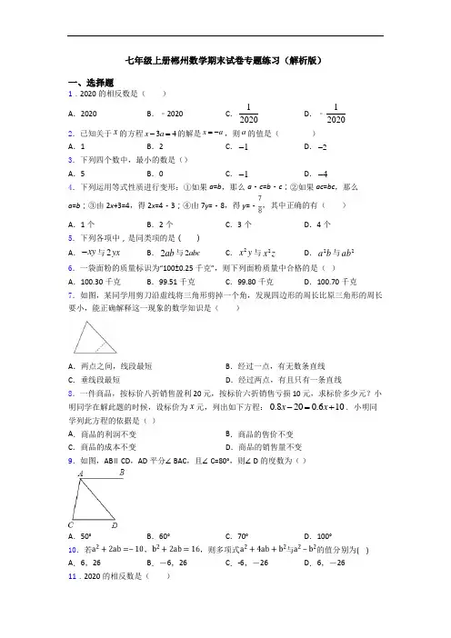 七年级上册郴州数学期末试卷专题练习(解析版)