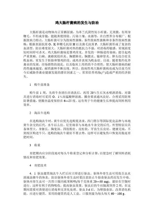 鸡大肠杆菌病的发生与防治