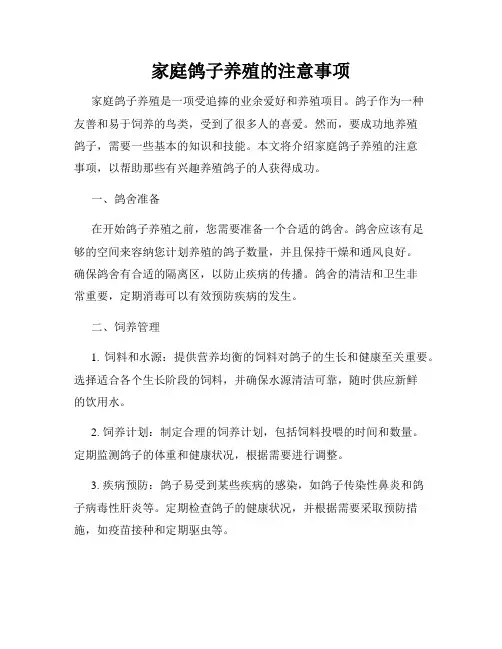 家庭鸽子养殖的注意事项