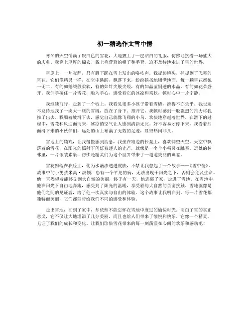 初一精选作文雪中情