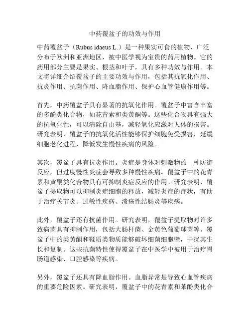 中药覆盆子的功效与作用