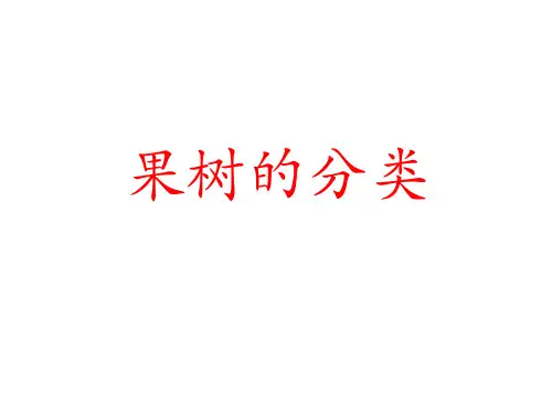 果树分类