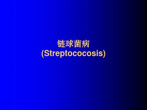第八节链球菌病