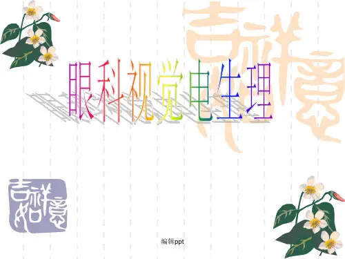 眼科视网膜点图