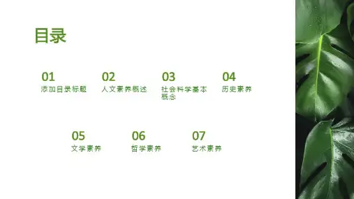 引导人文素养与社会科学课件