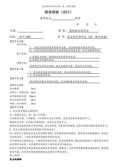 昆虫的外部形态(胸、腹、体壁)教案