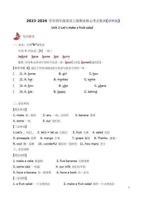 Unit 2 Let's make a fruit salad期末核心考点集训译林版英语四年级上册