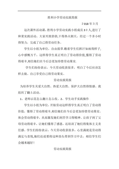 胜利小学劳动实践简报