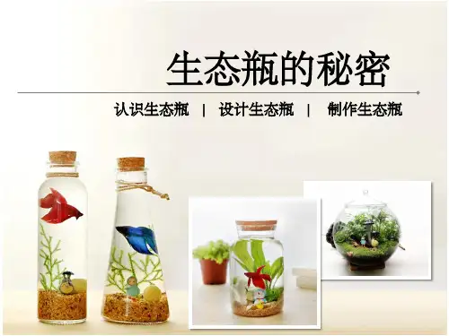 粤教版新教材六年级咯血《生态瓶的秘密》教学课件