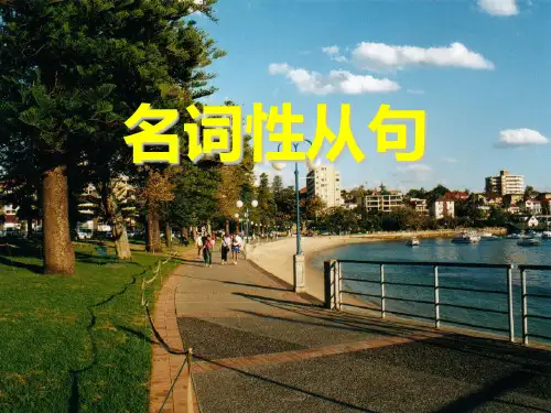 2025届高三英语二轮复习名词性从句课件(共24张PPT)