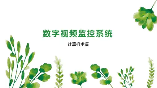 数字视频监控系统