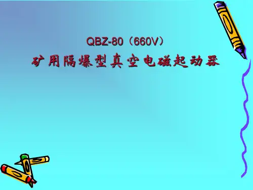 QBZ-80开关原理资料