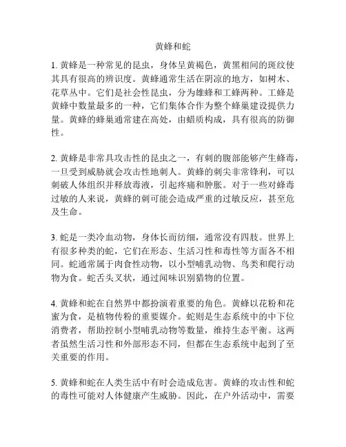 黄蜂和蛇_??????