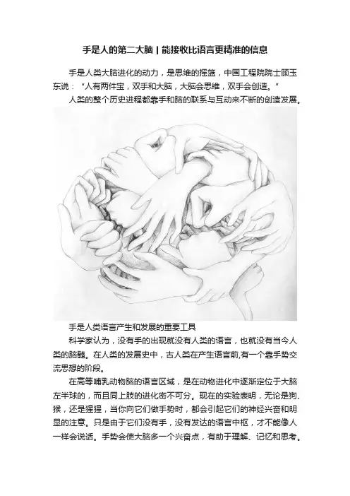 手是人的第二大脑丨能接收比语言更精准的信息