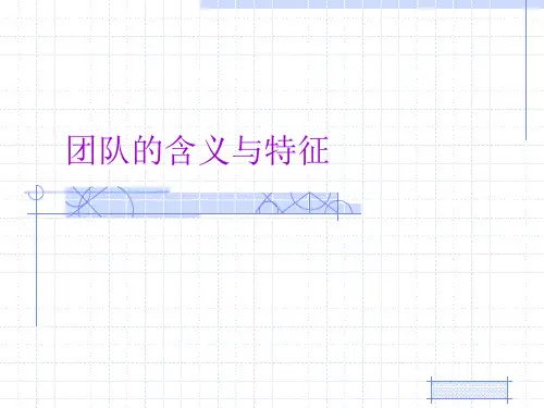 团队的含义与特征