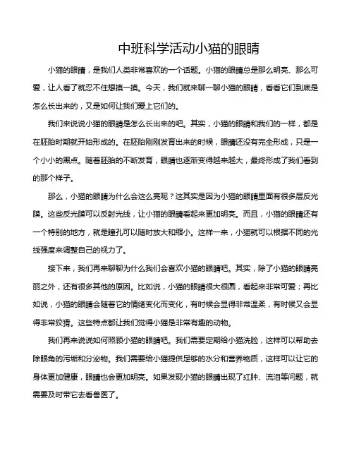 中班科学活动小猫的眼睛