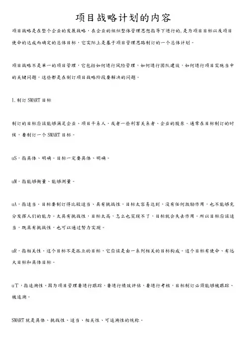 项目战略计划的内容