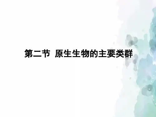 北师大版-生物-八年级下册-7.22.2原生生物的主要类群 课件