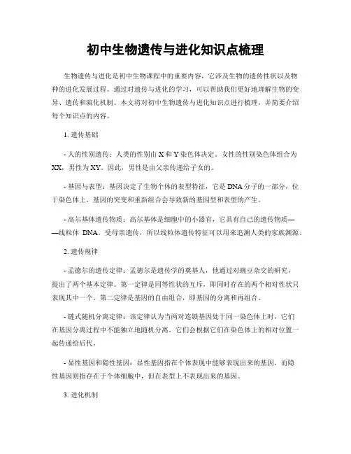 初中生物遗传与进化知识点梳理