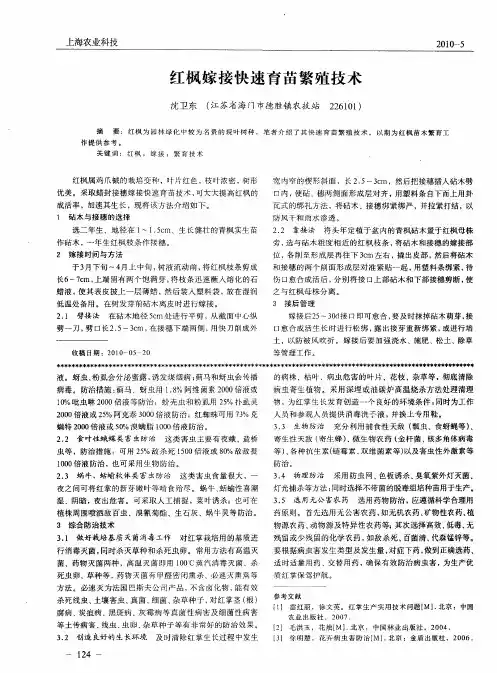 红枫嫁接快速育苗繁殖技术