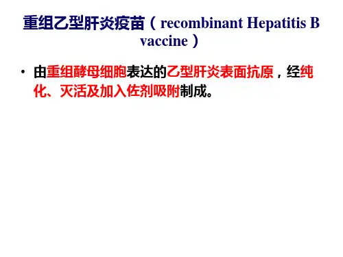 重组乙型肝炎疫苗概述
