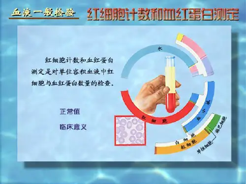 诊断学实验诊断PPT课件
