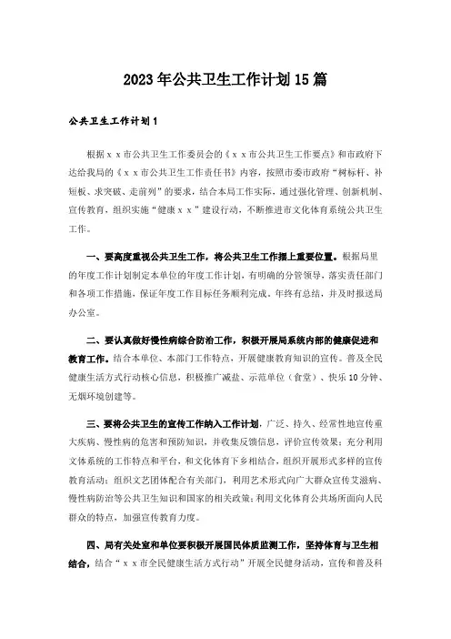 2023年公共卫生工作计划15篇