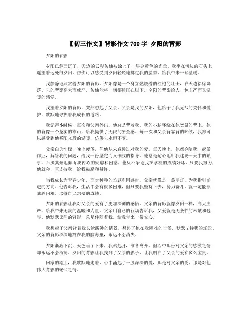 【初三作文】背影作文700字 夕阳的背影