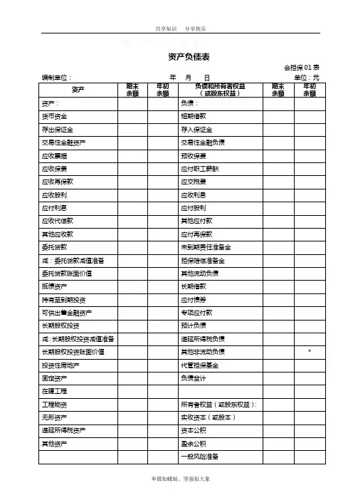融资性担保公司财务报表