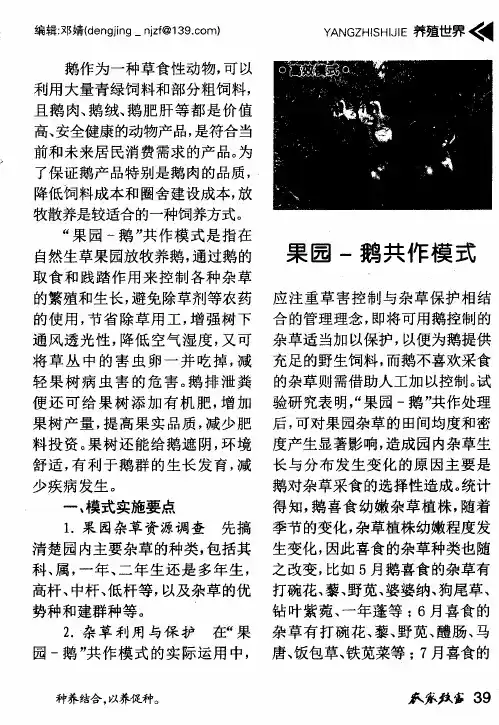 果园-鹅共作模式