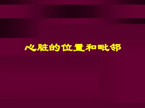 最新心脏应用解剖学PPT课件