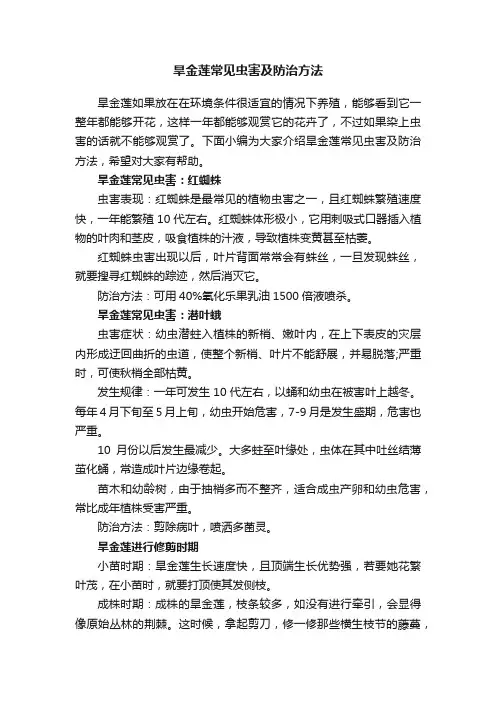 旱金莲常见虫害及防治方法