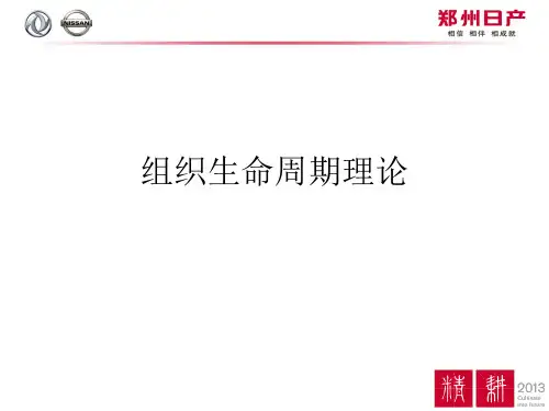 组织生命周期理论