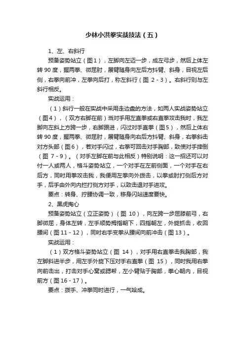 少林小洪拳实战技法（五）