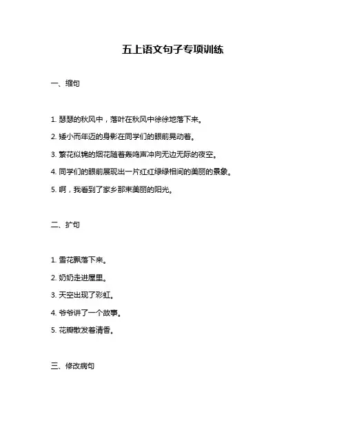 五上语文句子专项训练