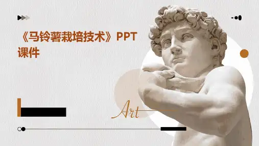 《马铃薯栽培技术》PPT课件