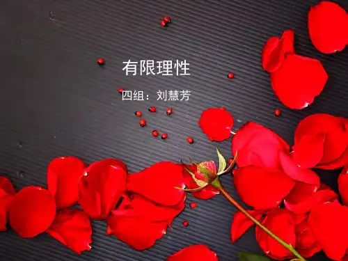 有限理性