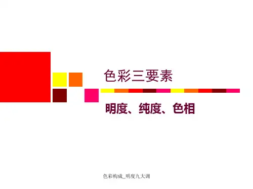 色彩构成_明度九大调 ppt课件