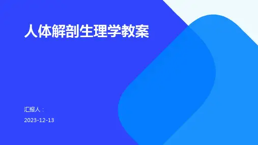 人体解剖生理学教案