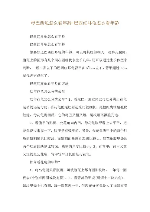 母巴西龟怎么看年龄-巴西红耳龟怎么看年龄