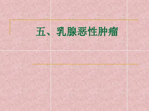 乳腺影像诊断2ppt课件