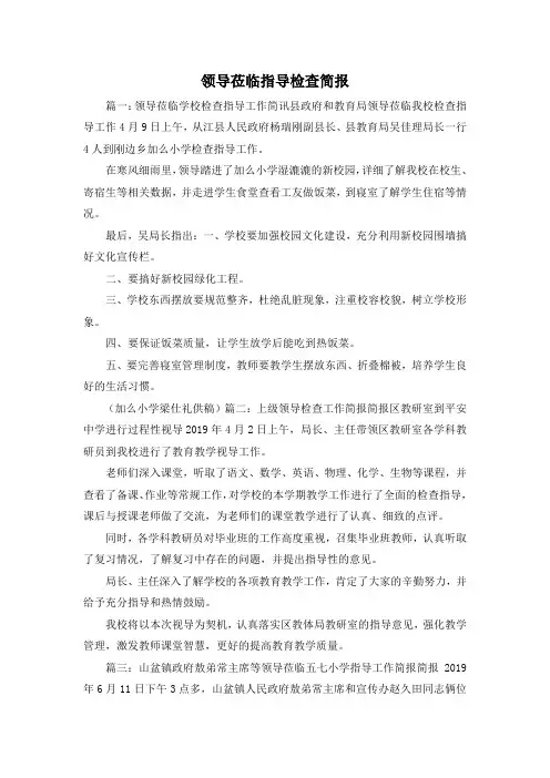 最新-领导莅临指导检查简报 精品