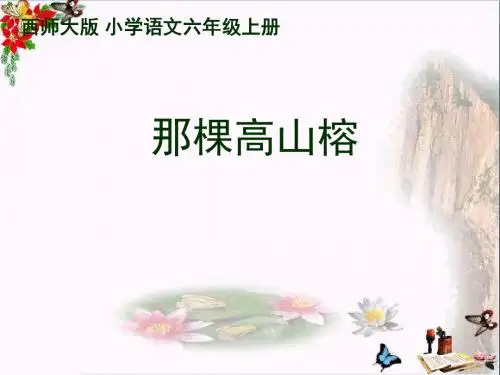 六年级语文上册第6课那棵高山榕PPT课件3西师大版